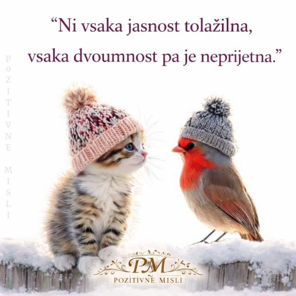 Ni vsaka jasnost tolažilna