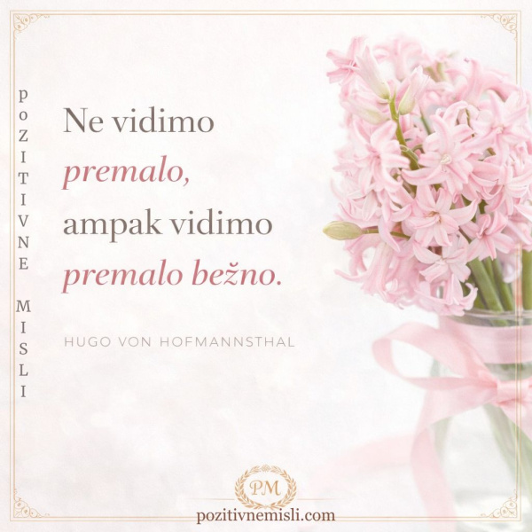 Ne vidimo premalo: Citat