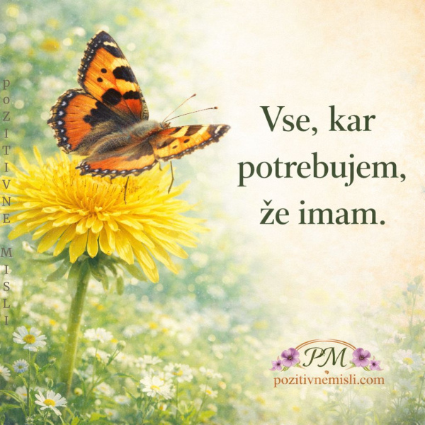 Misli - Zavedanje - imam vse