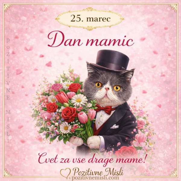 25. marec – dan mamic