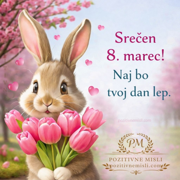 Lep dan 8 .marec dan žena