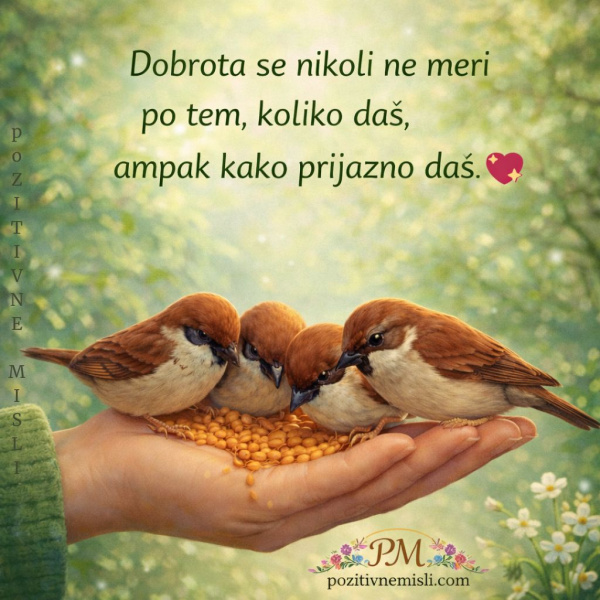 Misli - Dobrota se nikoli ne meri