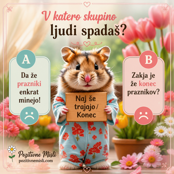 V katero skupino ljudi spadaš – prazniki da ali ne?