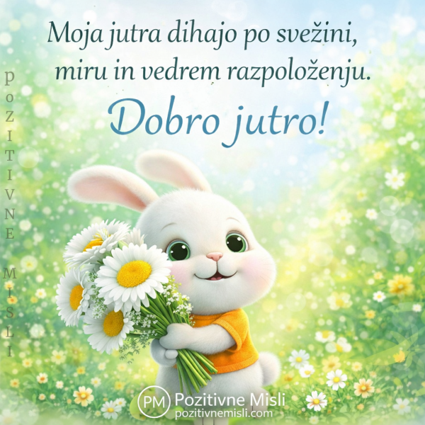 Pozitivna AFIRMACIJA - dobro jutro -