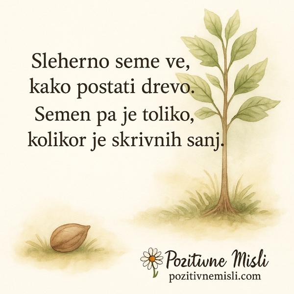 Sleherno seme ve, kako postati drevo 🌳