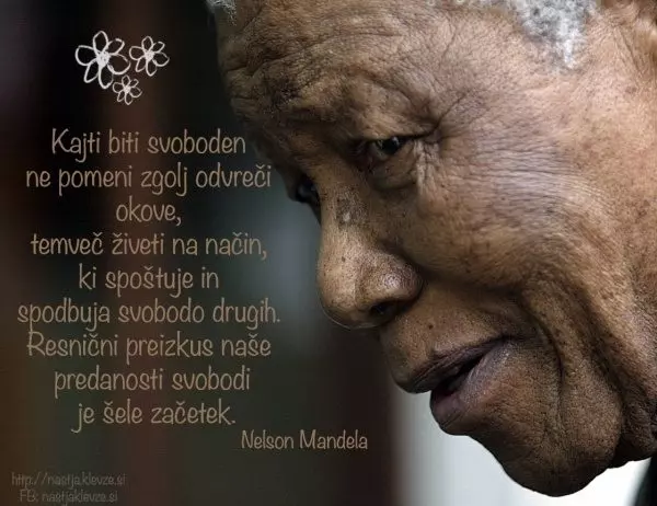 Nelson Mandela - Biti svoboden