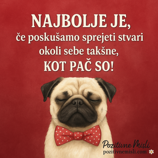 Sprejemanje - V življenju sprejemaj stvari
