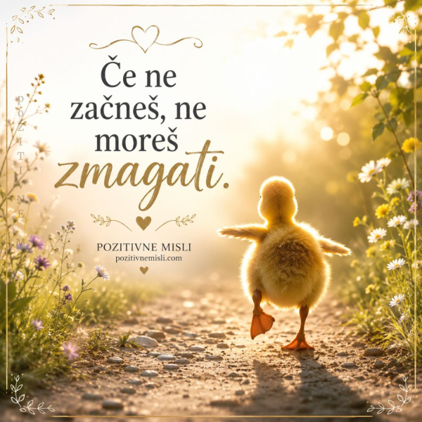 Če ne začneš ne moreš zmagati 🐥